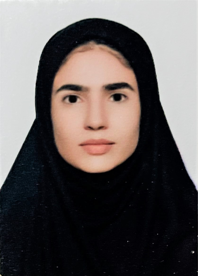 هانیه میر حسینی
